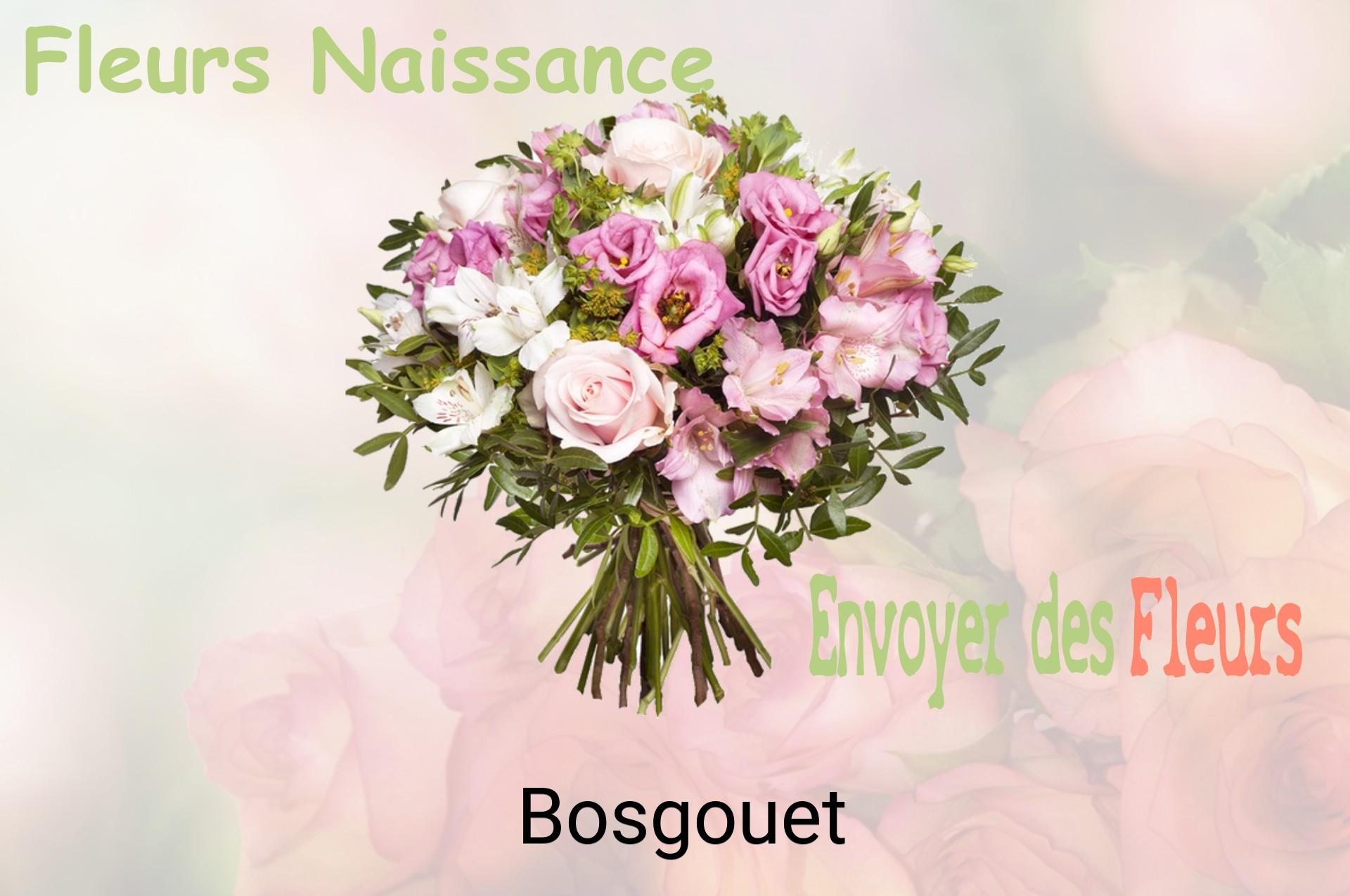 Bouquet de fleurs de naissance livré à Bosgouet